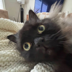 Meet your Posher, Colby